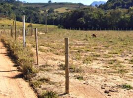 Lote Bairro Limeira