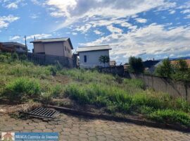 Lote Bairro Palomos