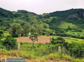 Sítio Bairro Abertão